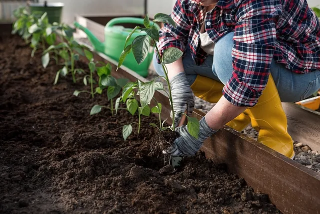 recorte manos jardinero plantando 